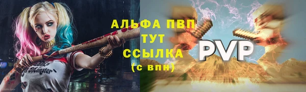 индика Горно-Алтайск