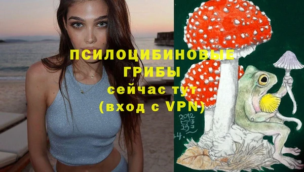 метадон Инта