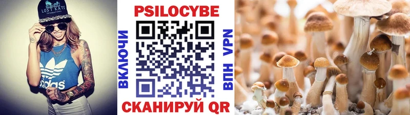 хочу   Белозерск  Галлюциногенные грибы прущие грибы 