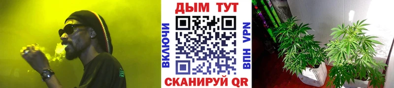 Бошки Шишки VHQ  Белозерск 